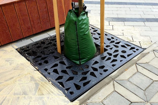 Mała architektura – realizacja Nexenta