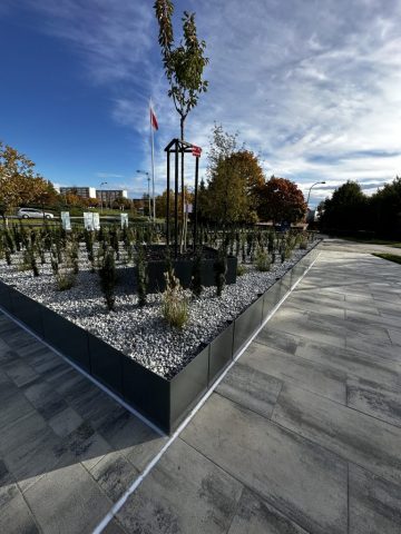 Mała architektura – realizacja Nexenta